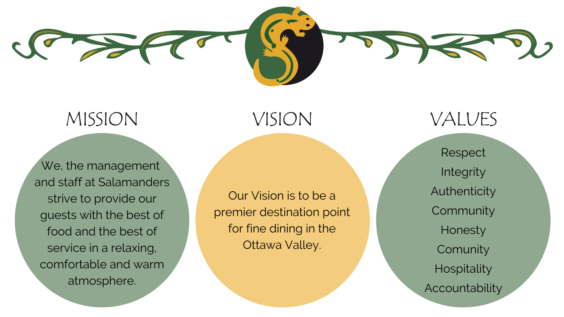 Mission, Vision _ Values Framework (Salamanders)