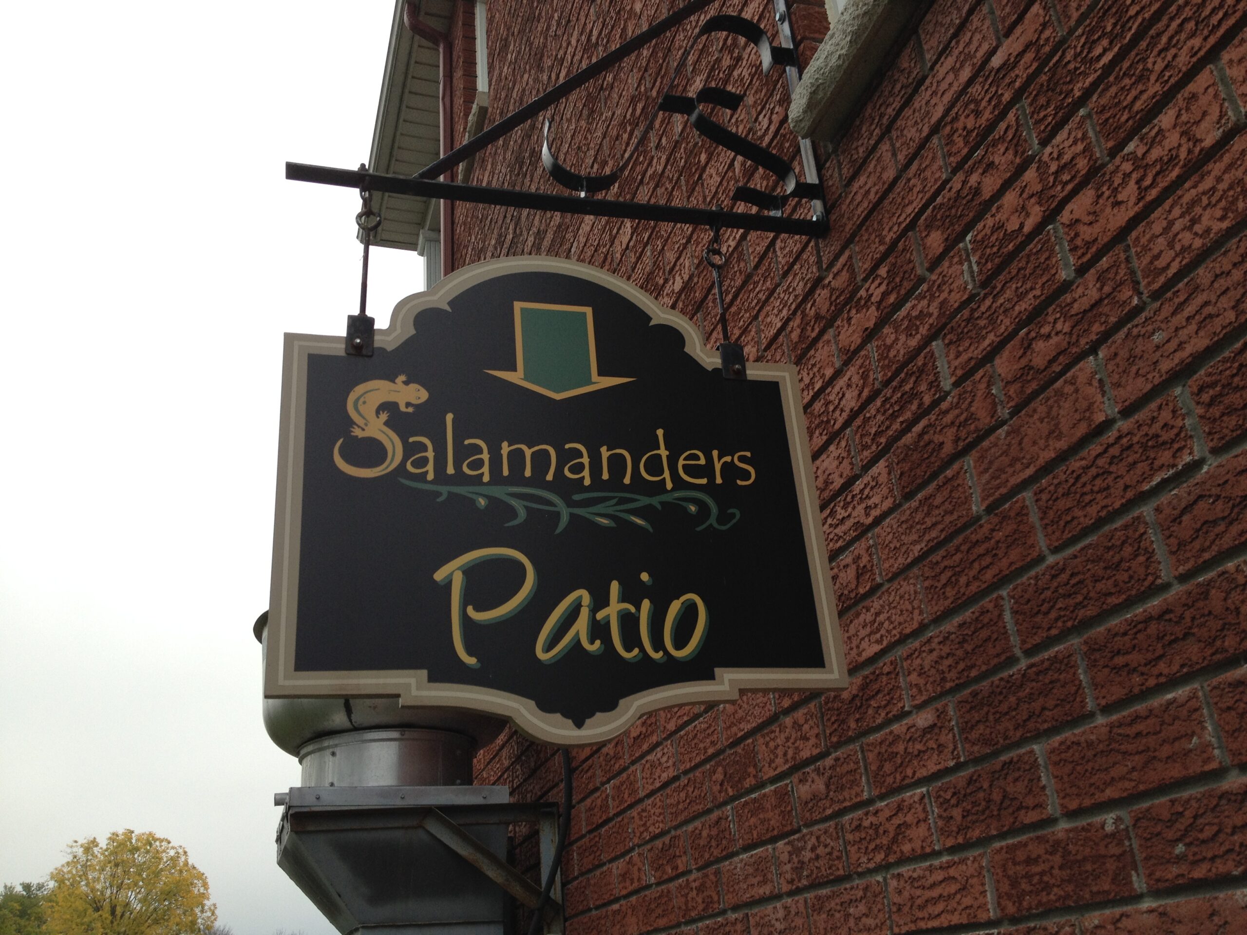 Salamanders-Patio